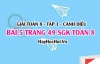 Giải bài 5 trang 49 Toán 8 Tập 1 SGK Cánh Diều